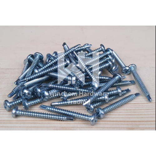 Self Drilling Screw (100mm)